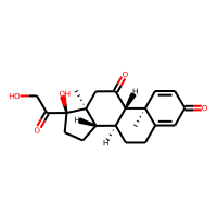 PREDNISONE