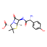 AMOXICILLIN